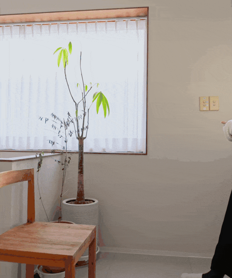8efc77807ac85a1ae3266a9c09972713_1782107275_4791.gif