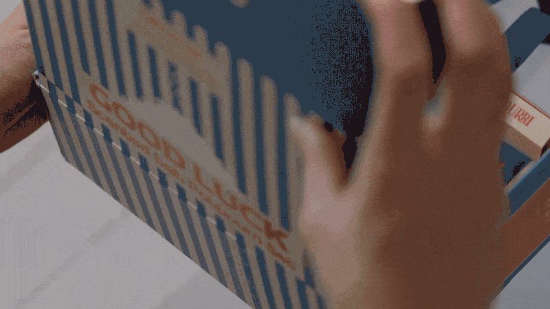 8efc77807ac85a1ae3266a9c09972713_1782107276_4299.gif